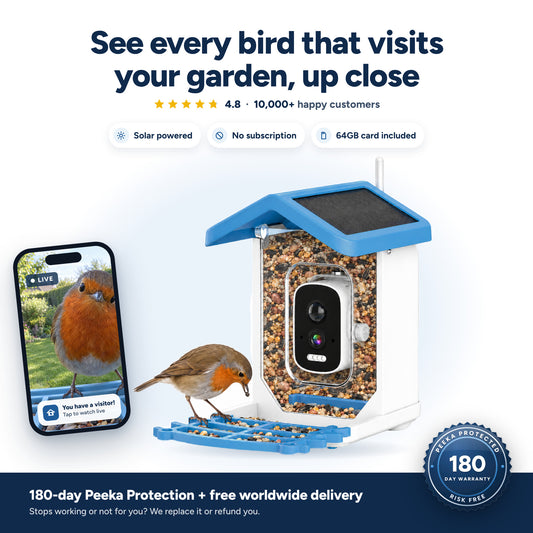 Peeka Feeder Cam