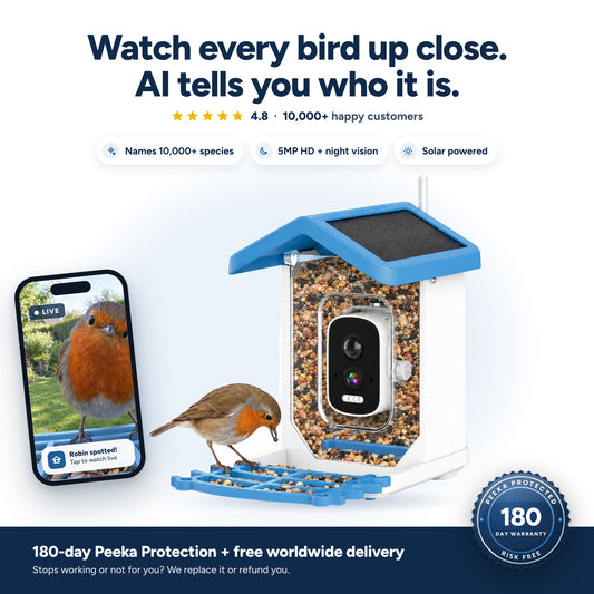 Peeka Feeder Cam