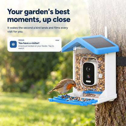 Peeka Feeder Cam