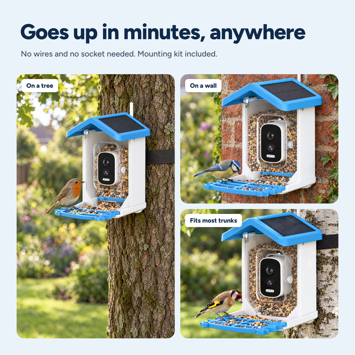 Peeka Feeder Cam